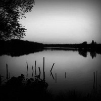 /album/laliitaa-esposiitto/photolia-b01-jpg/